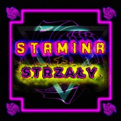 Stamina x Strzały