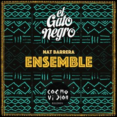 PREMIERE : El Gato Negro - Ensemble (Nat Barrera Remix)[CosmoVision Records]