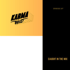 CAUGHT IN THE MIX - 107 (Looptek b2b Karma Wild, played at Digital Dystopia @ Onyx)