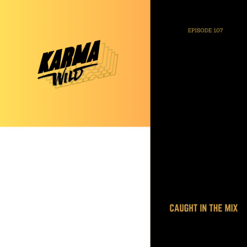 CAUGHT IN THE MIX - 107 (Looptek b2b Karma Wild, played at Digital Dystopia @ Onyx)