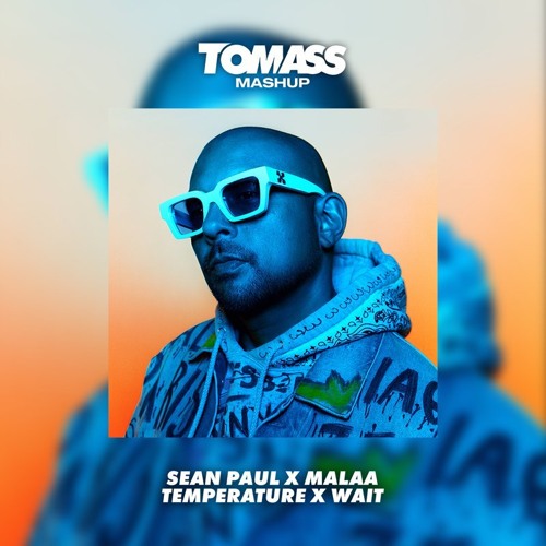 Sean Paul x Malaa - Temperature x Wait (Tomass Mashup)