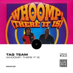 Tag Team - Whoomp! (There It Is) (Spacho Powder Edit)