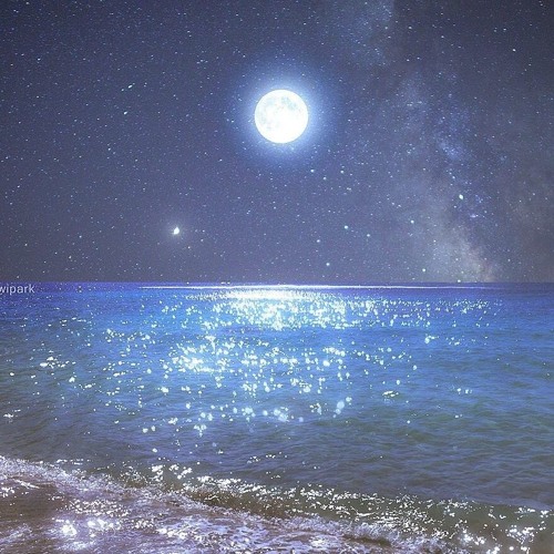 🌊𓇼 ⋆｡˚ this could build us a home intro𓆝🪸⋆｡˚ slowed + hexd ｡𖦹˚.🪼₊ ๋࣭ ⭑