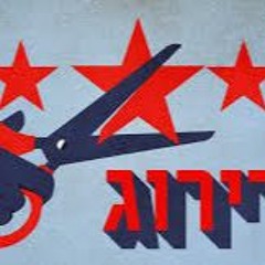 איך עברתי לצפות מקומדיות רומנטיות למותחן ריגול? ביקורת שלי על הומלנד