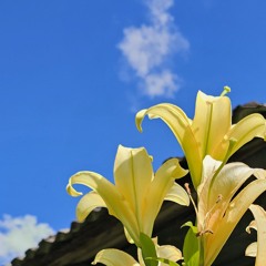 Taevas/The Sky