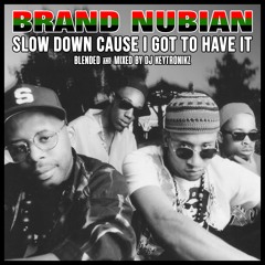 Brand Nubian - Slow Down Cause I Got To Have It