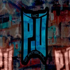 MC P.U - Tropa da Favela (Prod. Palladynus)