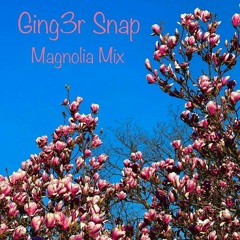 Magnolia Mix