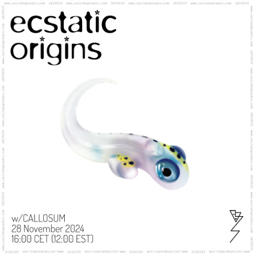 Ecstatic Origins w/ Callosum 28.11.24
