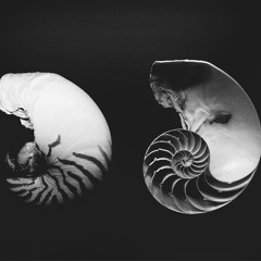 as the Dirty Goddess lands...