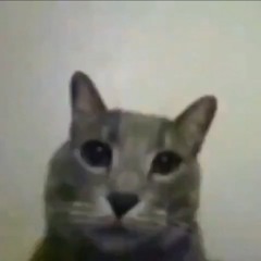 снова здесь (prod. michael harrison)