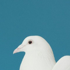 Hymn For Peace