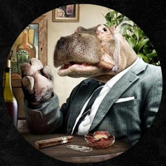 Havvoc - Hippopotadreams (Gift Track)