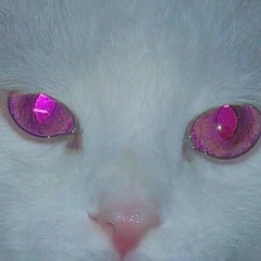 snugaluff1118 - yung kitty legend (iseeshine flip)