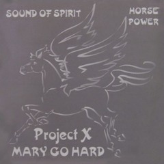 Project X - Mary Go Hard