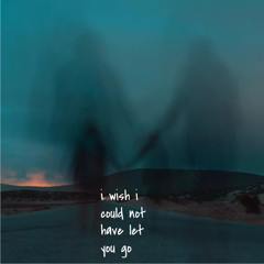 I wish I could have not let you go