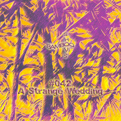 BS042 - A Strange Wedding (Worst Records)