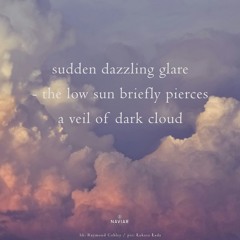 Sudden Dazzling Glare  ( Naviarhaiku 542 )