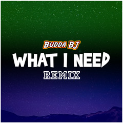 Budda BJ - What I Need Remix (Prod. By Johnsonboibeats)