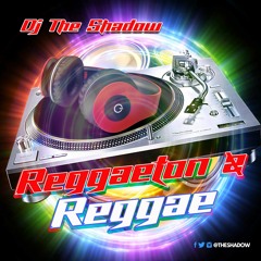 Dj The Shadow Presents Old & New Reggaeton & Reggae Mixx