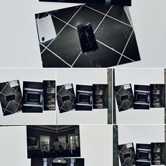 camera (zivo + bbmevis)