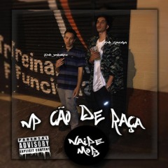 Np cão de raça - w/@np_ghzz
