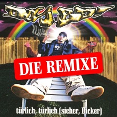 DAS BO - TÜRLICH TÜRLICH (DJ HTTPS REMIX)