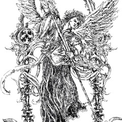 freestyle on a wednesday