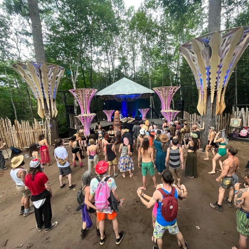 Future Forest 2024 Submission Mix