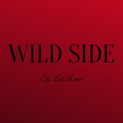 Normani - Wild Side (Ty Lab Remix) *BT Lyrics*