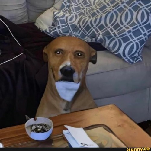 we are not a jersey account get out of my head