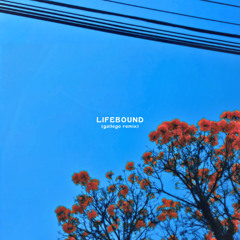 Primal Rights - LIFEBOUND (gallego remix)