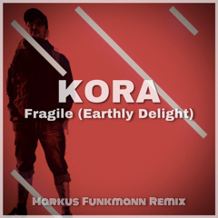 Kora - Fragile (DerFunkmann priv.Remix)