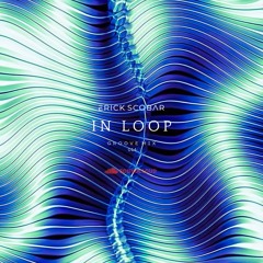 IN LOOP - Groove Mix 014