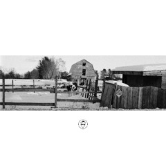 When the Flowers Bloomed