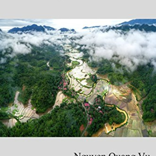 [DOWNLOAD] PDF 💜 Principles of Vietnam's Enterprise Law (Vol. 2) by  Nguyen Quang Vu