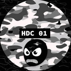 Ralspi - HDC 01
