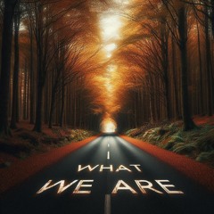 What We Are (Frank Zozky Remix) feat Phoebe Skye