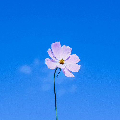 Waiting for love