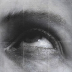 day twenty: confrontation