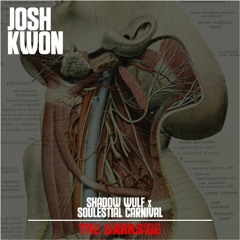 Josh Kwon - Live @ The Darkside [03.18.23]