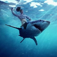 Swimming With The Sharks (Old School Dubstep, Electro, Drum n Bass)
