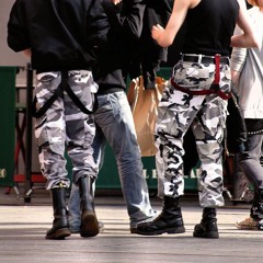 Dårarnas Paradis sped up