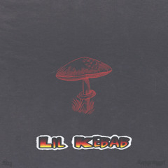 SOPPGIROBYGGET STAG LIL KEBAB PSYKLIR REMIX