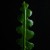 Artwork for (SNIPPET)ОВ 4444 АР - (ATNS progressive country ambient desert rock remix)