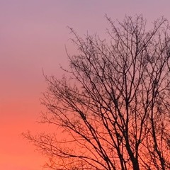 Enrique Granados, Piano Trio, 3rd Movt