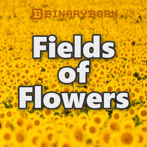 Fields of Flowers