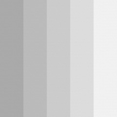 fragment