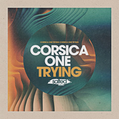 Trying (Miguel Migs Salty Love Dub)