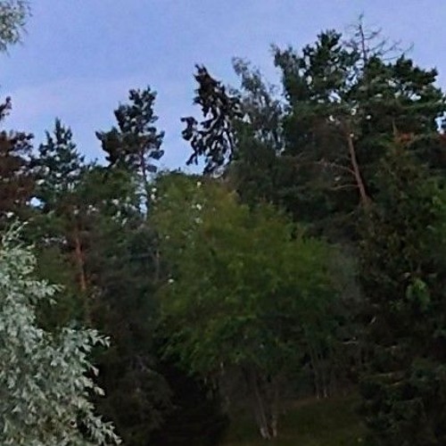 theoctagone